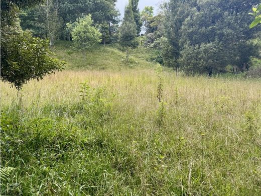 ‏קרקע ב  Envigado, Departamento de Antioquia