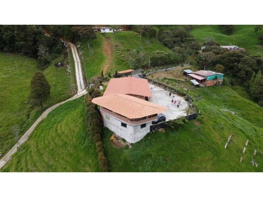 Hotel - Medellín, Departamento de Antioquia