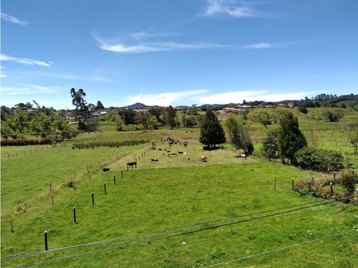 Teren w La Unión, Departamento de Antioquia