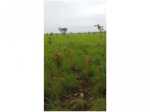 Rustico o casale a Cumaribo, Departamento del Vichada