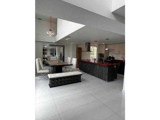 듀플렉스 / 메데인, Medellín