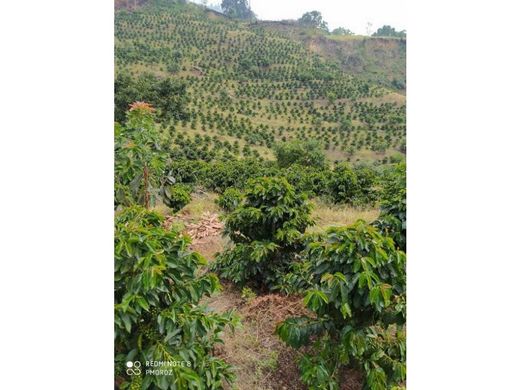 ﻣﻨﺰﻝ ﺭﻳﻔﻲ/ ﺑﻴﺖ ﻤﺰﺭﻋﺔ ﻓﻲ Abejorral, Departamento de Antioquia