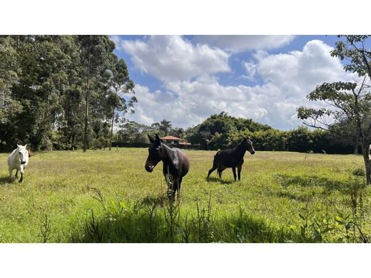 Terreno a Rionegro, Departamento de Antioquia