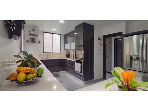 Daire Medellín, Departamento de Antioquia