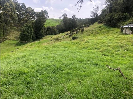 Land in Envigado, Departamento de Antioquia