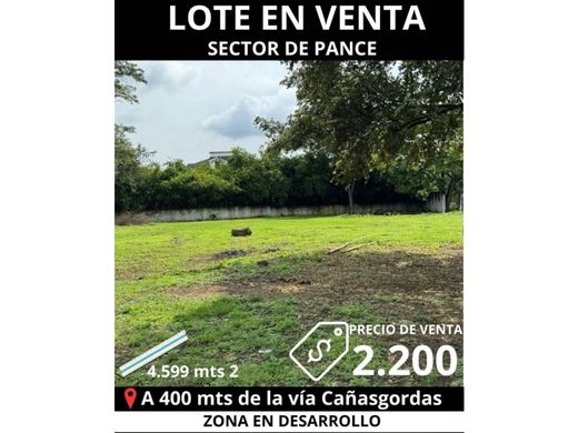 Arsa Cali, Departamento del Valle del Cauca