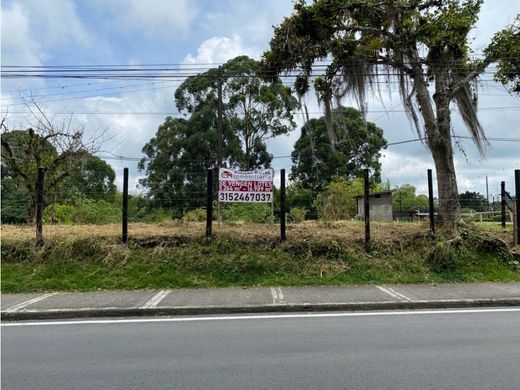Terreno - Armenia, Quindío Department