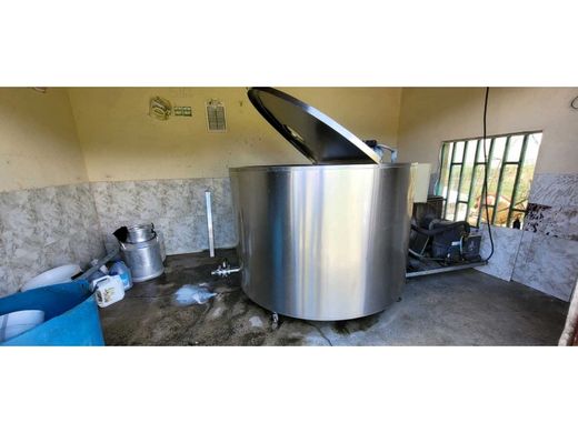 Rustykalny lub Wiejski w Donmatías, Don Matías