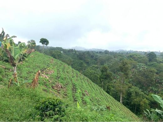 ‏בתים כפריים או חוות ב  Filandia, Quindío Department