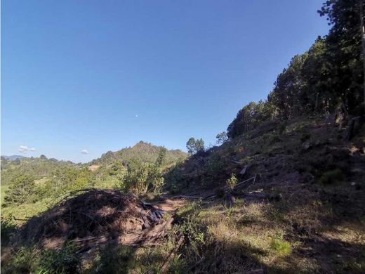 토지 / La Ceja, Departamento de Antioquia