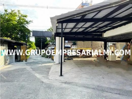 ‏קרקע ב  מדיין
, Medellín