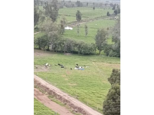 Boerderij in San Miguel de Sema, Departamento de Boyacá