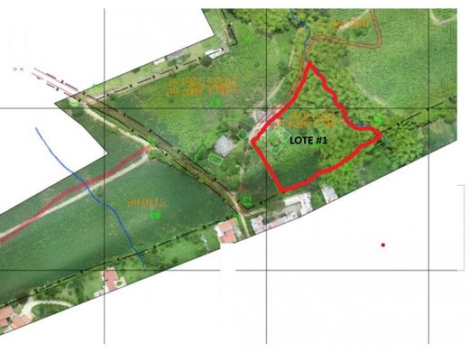 Arsa Armenia, Quindío Department