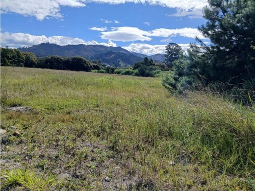 Αγροτεμάχιο σε Rionegro, Departamento de Antioquia