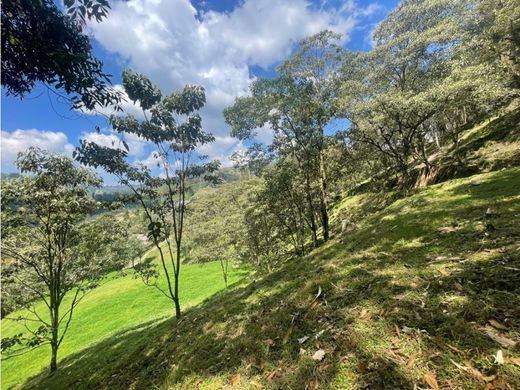 地皮  Retiro, Departamento de Antioquia