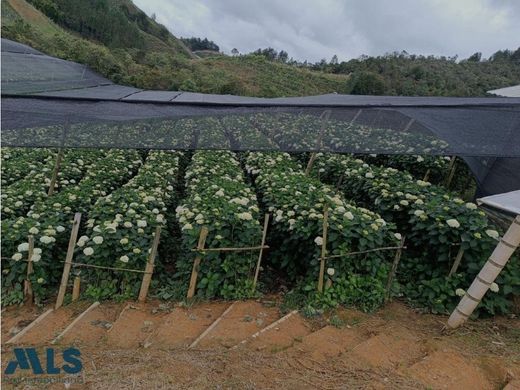 منزل ريفي ﻓﻲ El Bagre, Departamento de Antioquia