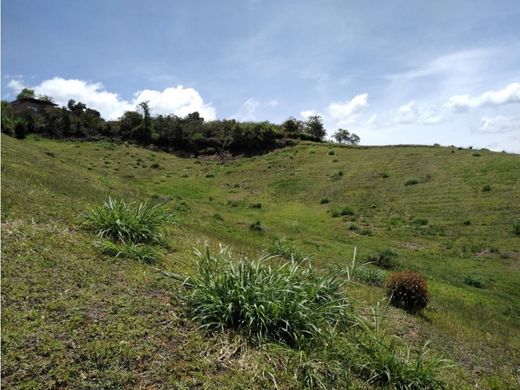 Αγροτεμάχιο σε Marinilla, Departamento de Antioquia