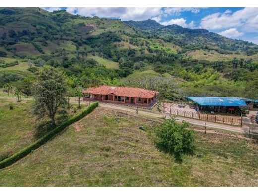 Rustik ya da çiftlik Obando, Departamento del Valle del Cauca