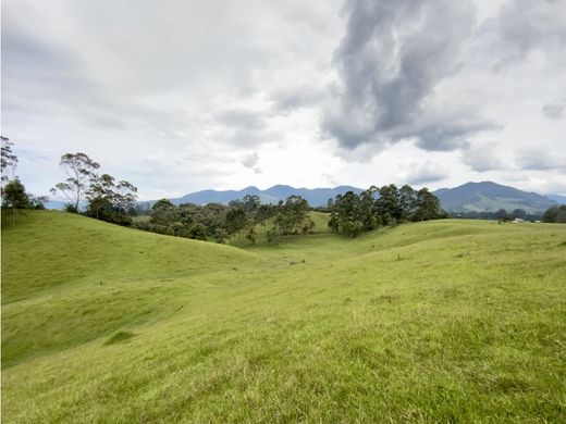 أرض ﻓﻲ Carmen de Viboral, El Carmen de Viboral