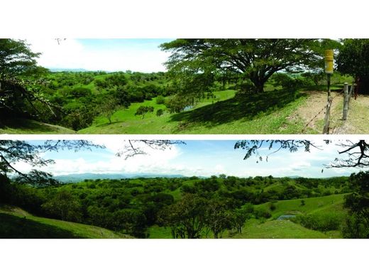 Сельский Дом, Перейра, Pereira