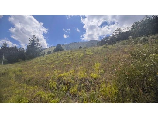 ‏קרקע ב  מדיין
, Medellín