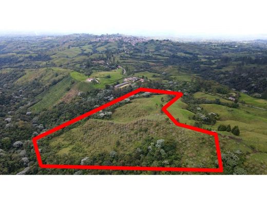 Αγροτεμάχιο σε Filandia, Quindío Department