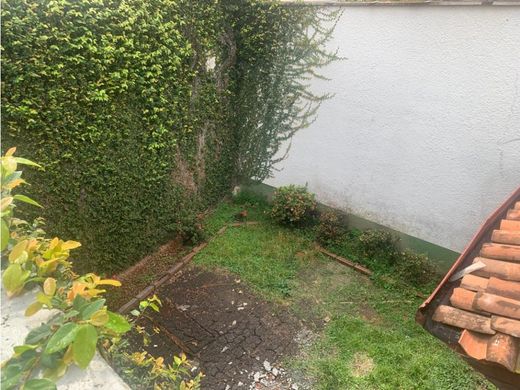 أرض ﻓﻲ ميديلين, Medellín