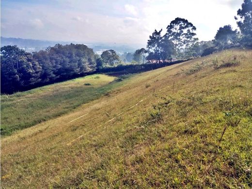 Terrain à Rionegro, Departamento de Antioquia