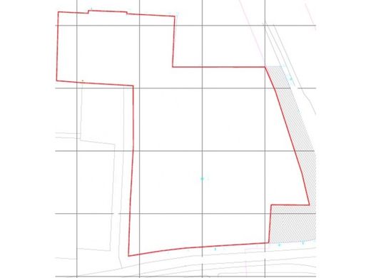 토지 / 보고타, Bogotá  D.C.