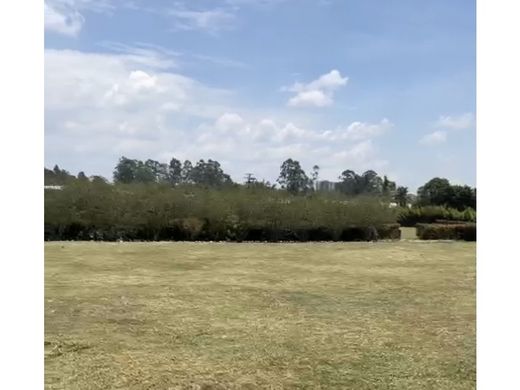 Terreno - Rionegro, Departamento de Antioquia