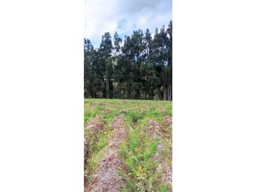 Terrain à Pasto, Departamento de Nariño