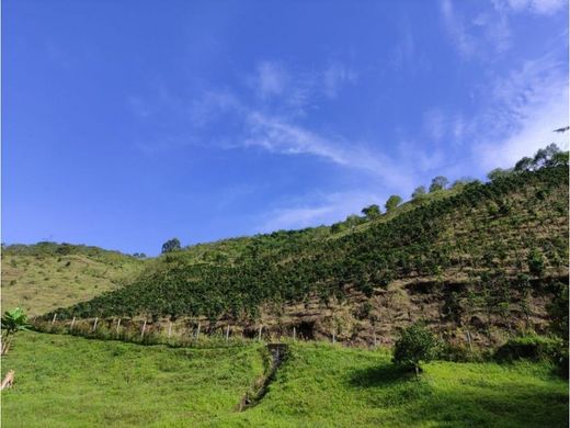 Farmhouse in Santa Rosa de Cabal, Departamento de Risaralda