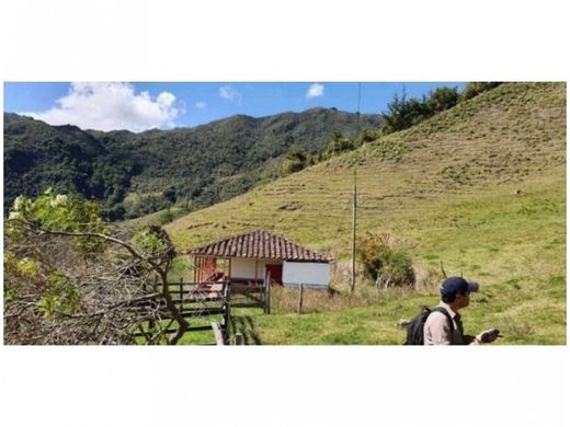 Ferme à Abejorral, Departamento de Antioquia