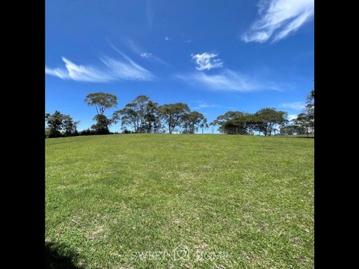 Rionegro, Departamento de Antioquiaの土地