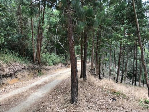 Terreno - Copacabana, Departamento de Antioquia