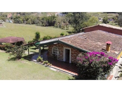 Rustykalny lub Wiejski w Santuario, Departamento de Risaralda