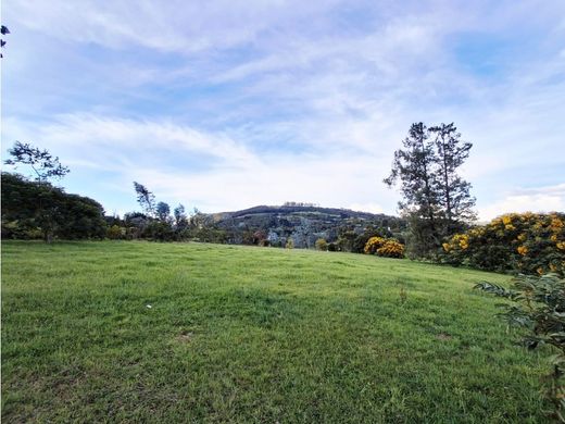 Envigado, Departamento de Antioquiaの土地