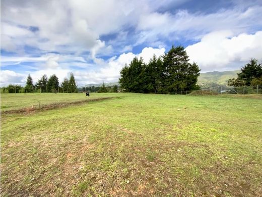 Teren w Guarne, Departamento de Antioquia