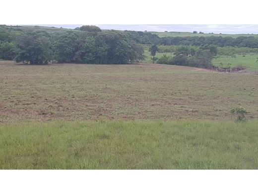 Rustik ya da çiftlik La Primavera, Departamento del Vichada