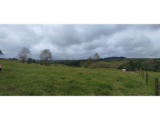 Land in Circasia, Quindío Department