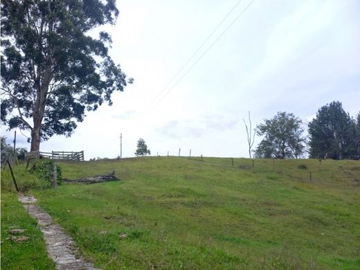 地皮  Rionegro, Departamento de Antioquia