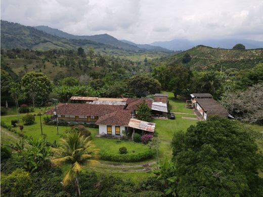 호텔 / Armenia, Quindío Department