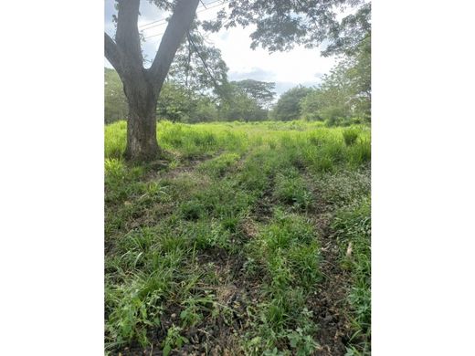 Land in Cartagena, Cartagena de Indias