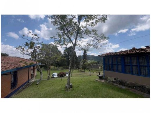 ‏קרקע ב  מדיין
, Medellín