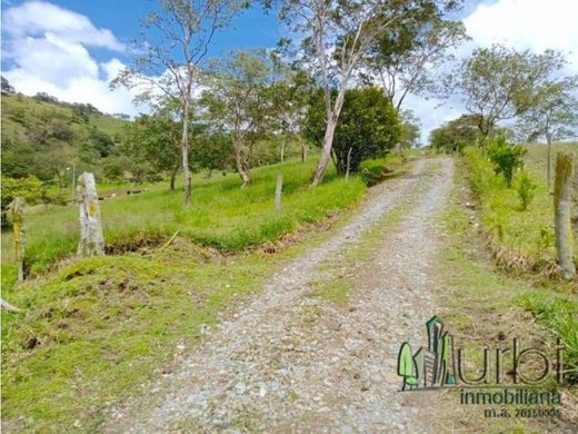 Farmhouse in Moniquirá, Departamento de Boyacá