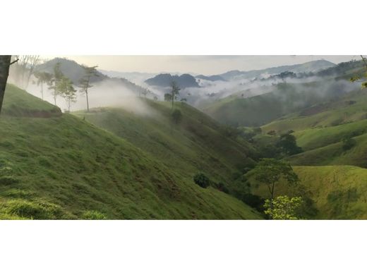 Ferme à Maceo, Departamento de Antioquia