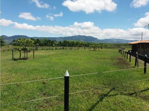 전원/농가 / Montenegro, Quindío Department