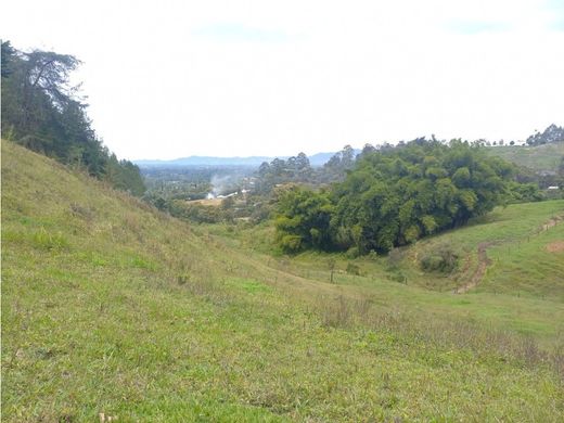 Grundstück in Rionegro, Departamento de Antioquia