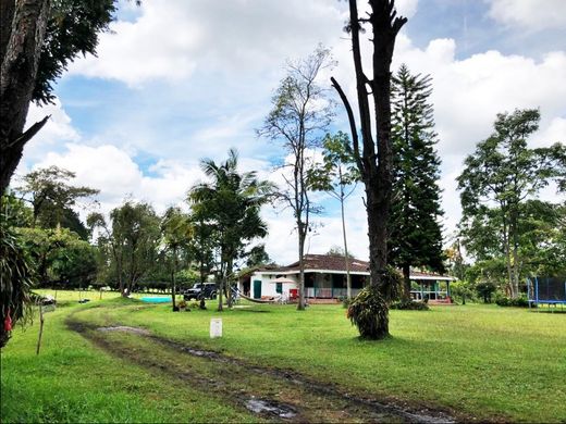 地皮  Rionegro, Departamento de Antioquia