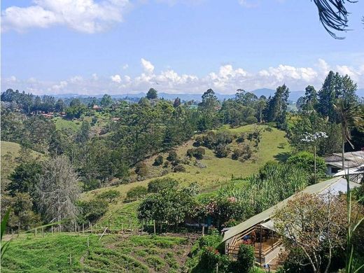 ‏קרקע ב  מדיין
, Medellín